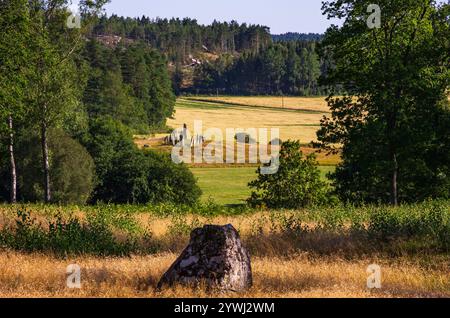 Anneau de Domar, cercle de pierre et premiers témoignages historiques de la fin de l'âge du fer sur le site funéraire de Blomsholm près de Strömstad à Bohuslän, Suède. Banque D'Images