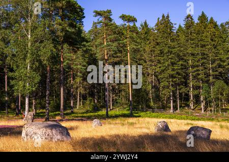 Anneau de Domar, cercle de pierre et premiers témoignages historiques de la fin de l'âge du fer sur le site funéraire de Blomsholm près de Strömstad à Bohuslän, Suède. Banque D'Images