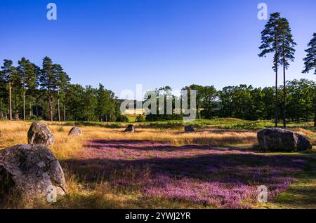 Anneau de Domar, cercle de pierre et premiers témoignages historiques de la fin de l'âge du fer sur le site funéraire de Blomsholm près de Strömstad à Bohuslän, Suède. Banque D'Images