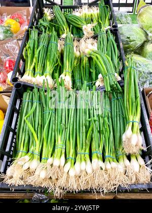 Bouquets d'oignons de printemps frais à vendre sur un marché Banque D'Images