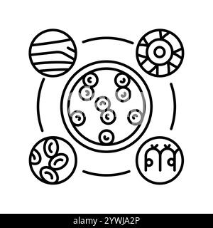 Icône de ligne noire de cellules souches pluripotentes induites. Elément isolé par vecteur. Contour modifiable. Illustration de Vecteur