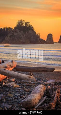 Plage de la Push au parc national olympique, Washington, au coucher du soleil. Les vagues roulent doucement sur le rivage, entourées de piles de mer, de bois flotté et de galets, Banque D'Images