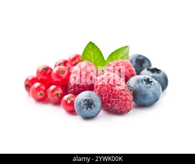 Assorts baies de framboises, bleuets et groseilles rouges sur fond blanc Banque D'Images