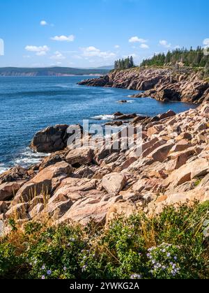 Côte rocheuse de l'océan Atlantique à Lakies Head sur le sentier Cabot sur l'île du Cap-Breton Nouvelle-Écosse Canada Banque D'Images