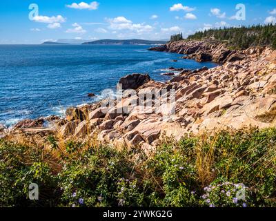 Côte rocheuse de l'océan Atlantique à Lakies Head sur le sentier Cabot sur l'île du Cap-Breton Nouvelle-Écosse Canada Banque D'Images