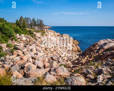 Côte rocheuse de l'océan Atlantique à Lakies Head sur le sentier Cabot sur l'île du Cap-Breton Nouvelle-Écosse Canada Banque D'Images