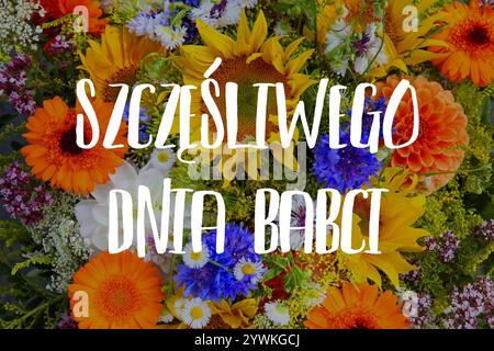 Bonne carte de voeux en polonais pour la fête des grands-mères. Szczesliwego Dnia Babci signifie heureuse fête des grands-mères en Pologne. Banque D'Images