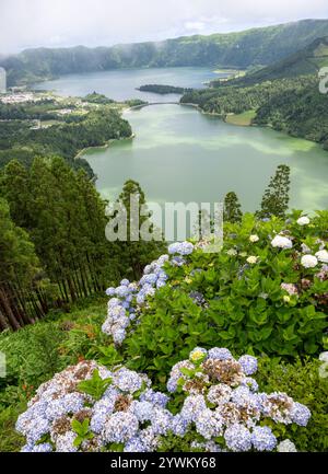 CETE Cidades, Sao Miguel, Açores, Portugal. Banque D'Images