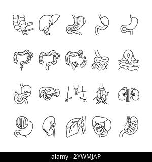 Opérations sur la ligne de cavité abdominale icônes noires définies. Signes pour page web, application mobile, bouton, logo. Bouton isolé de vecteur. Contour modifiable. Illustration de Vecteur