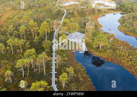 Nature estonienne. Marais de Seli et un sentier de randonnée en bois avec une tour d'observation. Vue photo depuis un drone. Banque D'Images
