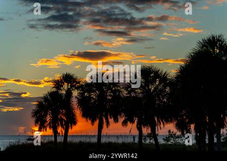 Un coucher de soleil radieux de Floride peint le ciel avec des teintes orange, rose et violet. Les palmiers balancent doucement dans la brise côtière chaude, silhouettée contre Banque D'Images