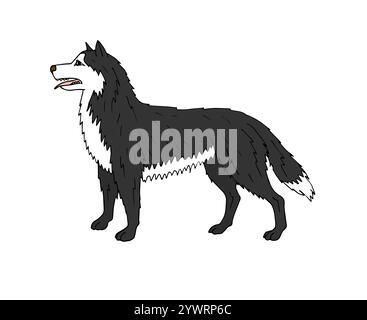 Vecteur coloré dessin doodle dessin à la main chien Husky isolé sur fond blanc Illustration de Vecteur