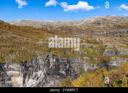 Paysage de la vallée de Flamsdalen vu du train Flam voyageant entre le village de Flam et Myrdal en Norvège,2024 Banque D'Images