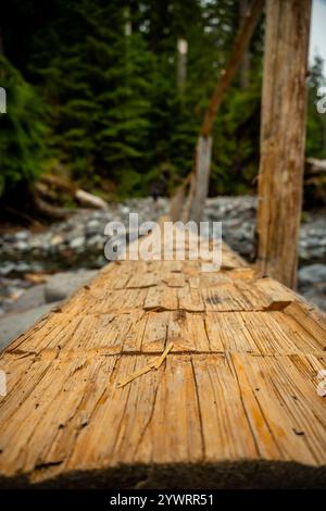 Pont Log nouvellement construit le long de la rivière Carbon dans le parc national du Mont Rainier Banque D'Images