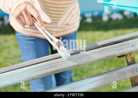 Femme peignant banc de jardin à la main Banque D'Images