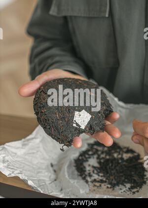 Un gâteau de thé traditionnel placé délicatement dans la main à côté de feuilles libres fraîches pour le brassage Banque D'Images