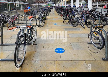 Hall de la gare de Paddington immense parc de vélos de banlieue dans une zone séparée à côté des vélos de plate-forme de train cadenassés à des cadres en acier Londres Angleterre Royaume-Uni Banque D'Images