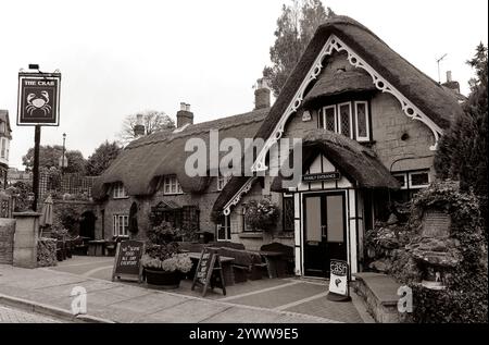 Le Crab Shanklin Banque D'Images