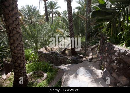 misfah al abriyyin village de montagne jabal al akhdar oman moyen-orient Banque D'Images