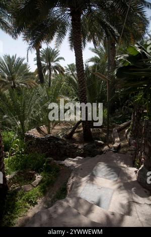 misfah al abriyyin village de montagne jabal al akhdar oman moyen-orient Banque D'Images