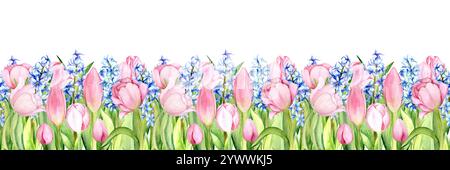 Bordure sans couture de tulipes et jacinthes sur fond blanc. L'illustration de l'aquarelle est dessinée à la main. Convient pour les cartes de vœux et les textiles, la typographie et le design d'intérieur Banque D'Images