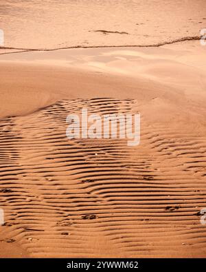 Ondulations dans le sable humide à marée basse sur une plage tranquille au coucher du soleil, création de motifs et textures naturels Banque D'Images