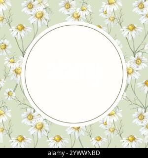 Cadre camomille dessiné à la main à l'aquarelle. Banque D'Images
