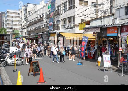 Scène de rue dans le marché extérieur de Tsukiji à Tokyo, ville de Chuo, Japon, Asie. Banque D'Images