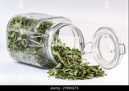 Renversé contenant en verre avec une feuille de thé renversé sur la table. Banque D'Images