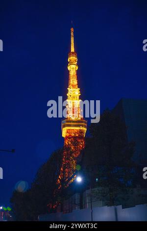 Tokyo, Japon - 14 avril 2024 : vue nocturne du paysage urbain vu depuis la plate-forme d'observation gratuite des collines Azabudai, Minato-ku, Tokyo (Tokyo Tower). Banque D'Images