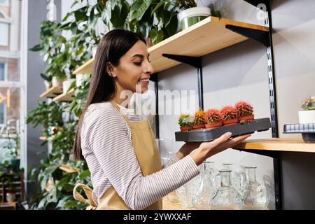 Un propriétaire qualifié de magasin d'usine organise des plantes colorées dans son charmant espace de magasin de fleurs. Banque D'Images