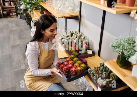 La propriétaire du magasin d'usine de Brunette organise soigneusement les succulentes colorées tout en profitant de son espace de travail. Banque D'Images
