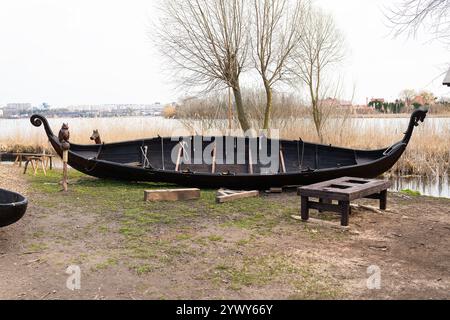 Un bateau viking traditionnel sur une rive herbeuse près de l'eau, avec des bancs en bois à proximité et des roseaux en arrière-plan. Banque D'Images