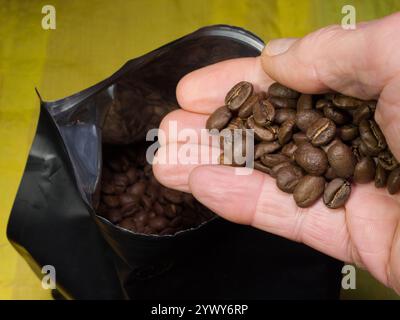 Gros plan de la main d'un homme tenant une poignée de grains de café torréfiés bruns frais, au-dessus d'un paquet fraîchement ouvert. Banque D'Images