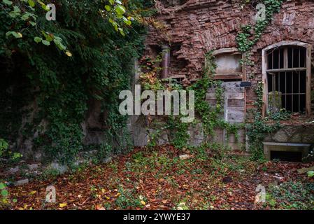 Mur de briques en ruine et fenêtre barrée dans un bâtiment abandonné recouvert de lierre Banque D'Images