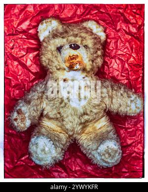 Photo concept d'un ours en peluche vintage au look photo rétro Banque D'Images