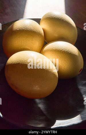 Quatre œufs d'autruche sur une assiette et éclairés par une bande de lumière de soleil. Banque D'Images