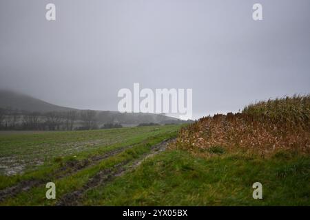 terres agricoles d'hiver s'étendant à travers le parc national south downs Banque D'Images