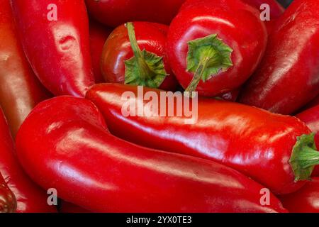 Vue rapprochée de poivrons rouges jalapeno vibrants, capturant leur texture et leur aspect brillant. Banque D'Images