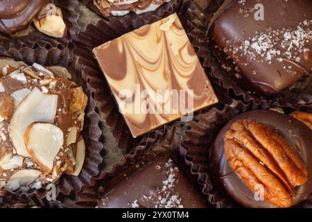 Vue rapprochée détaillée de chocolats faits à la main capturés d'en haut pour mettre en valeur leur savoir-faire. Banque D'Images