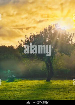 Paysage pittoresque avec brouillard tôt le matin, Galice, Espagne Banque D'Images