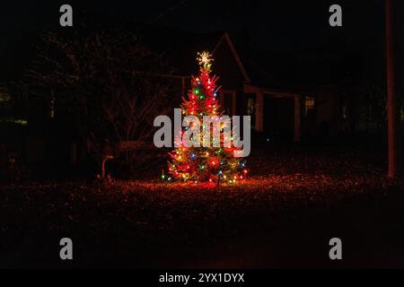 Illuminations colorées pour sapin de Noël dans un cadre de nuit sombre en extérieur Banque D'Images