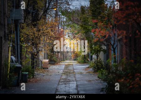 Rue résidentielle nord-américaine typique délabrée en automne à Montréal, Québec par un jour de pluie, arbres rouges et jaunes avec un trottoir humide un neig calme Banque D'Images