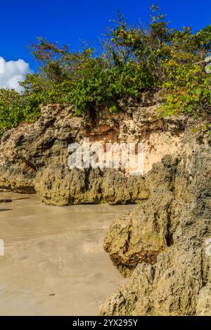 Un rivage rocheux avec quelques arbres en arrière-plan. Les rochers sont grands et dentelés, et la plage est sablonneuse. La scène a une sensation de robustesse et de naturel Banque D'Images
