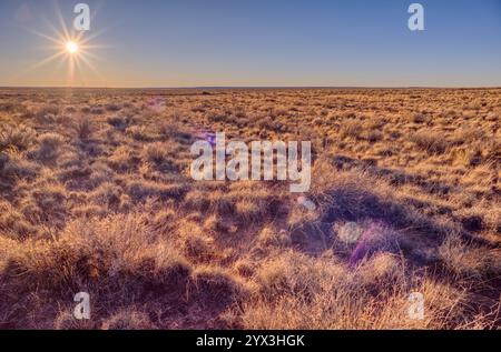 Prairie près de Dead Wash dans Petrified Forest AZ Banque D'Images