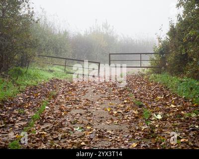 Ouvrez la porte de la ferme devant Radley Village, matin brumeux. Une porte de ferme ouverte me salue sur l'une de mes promenades préférées de mon village natal de Radley à Oxford Banque D'Images