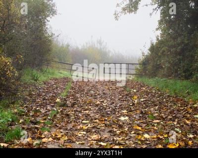Ouvrez la porte de la ferme devant Radley Village, matin brumeux. Une porte de ferme ouverte me salue sur l'une de mes promenades préférées de mon village natal de Radley à Oxford Banque D'Images