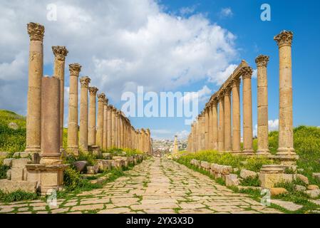 Colonnaded Street marque le centre de la ville antique, Jerash, en Jordanie Banque D'Images