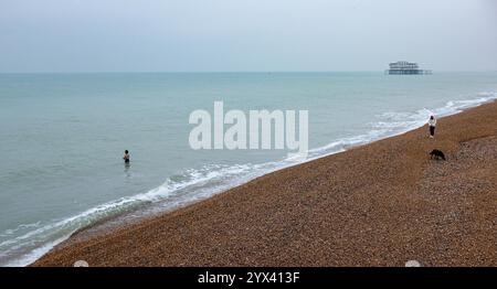 Brighton UK 13 décembre 2024 - Un nageur et promeneur de chiens sur la plage de Brighton par une journée froide et grise le long de la côte sud : crédit Simon Dack / Alamy Live News Banque D'Images