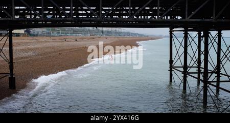 Brighton Royaume-Uni 13 décembre 2024 - Un nageur émerge de la mer à Brighton par une journée froide et grise le long de la côte sud : crédit Simon Dack / Alamy Live News Banque D'Images